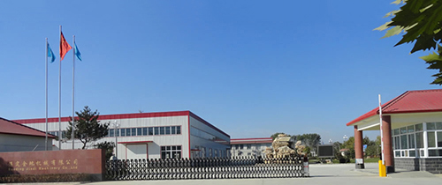 Company